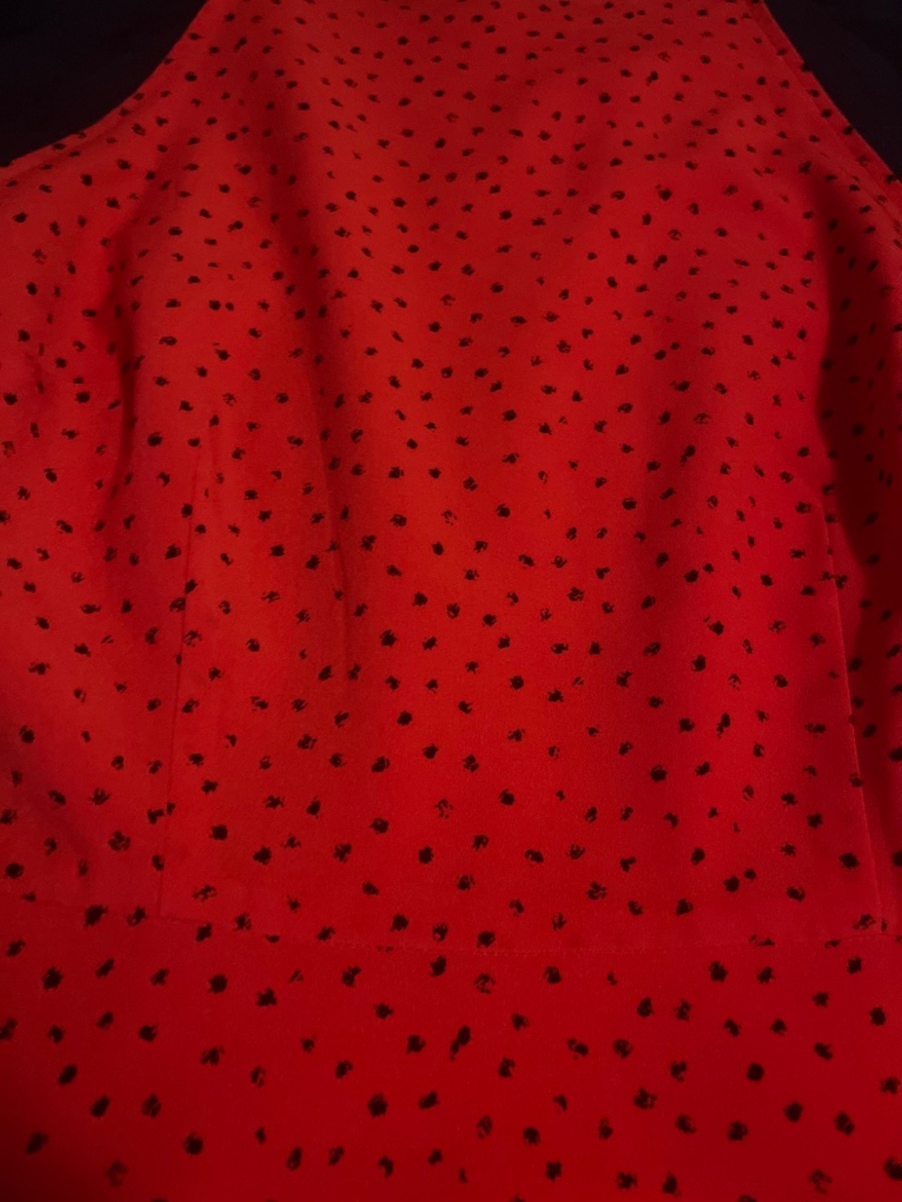 Red Dress - Picture 4 of 11